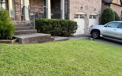 Photo of Caitlyn R.'s yard after getting lawn care in Durham, NC
