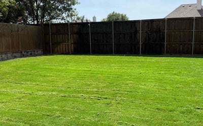 Photo of Shirlane S.'s yard after getting lawn care in Breaux Bridge, LA
