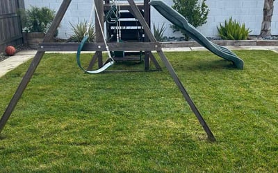 Photo of Jeff N.'s yard after getting lawn care in Roseville, CA