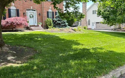 Photo of Bree W.'s yard after getting lawn care in Bethlehem, PA