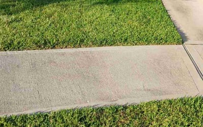 Photo of Laurie -.'s yard after getting lawn care in Denison, TX