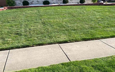 Photo of Daniel M.'s yard after getting lawn care in Tinley Park, IL