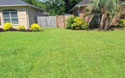 Photo of Mindy S.'s yard after getting lawn care in Washington, PA