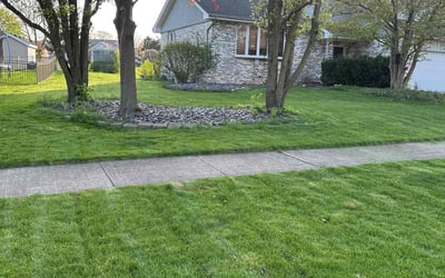 Photo of Michael G.'s yard after getting lawn care in Calumet, IL