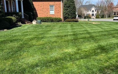 Photo of Maurice H.'s yard after getting lawn care in Charles City, VA