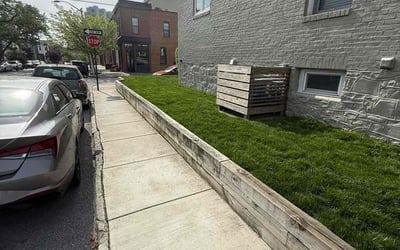 Photo of Greg K.'s yard after getting lawn care in Baltimore, MD