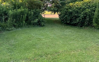 Photo of Dallas H.'s yard after getting lawn care in Old Saybrook, CT