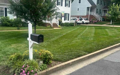 Photo of Khaliyah B.'s yard after getting lawn care in Quinton, VA
