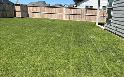Photo of Tui S.'s yard after getting lawn care in San Marcos, TX