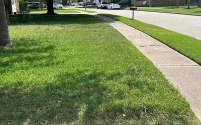 Photo of Karin D.'s yard after getting lawn care in Saco, ME