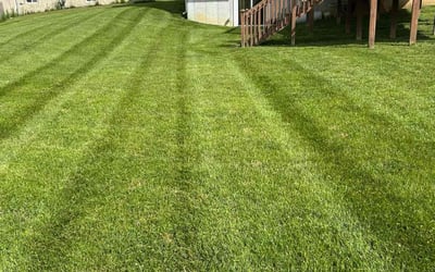 Photo of Pamela G.'s yard after getting lawn care in Chalfont, PA