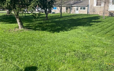 Photo of Winton N.'s yard after getting lawn care in Cortland, OH
