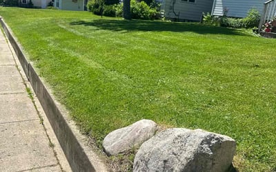 Photo of Christopher S.'s yard after getting lawn care in Wyoming, MI