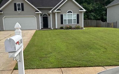 Photo of Leisa B.'s yard after getting lawn care in Baltimore, MD
