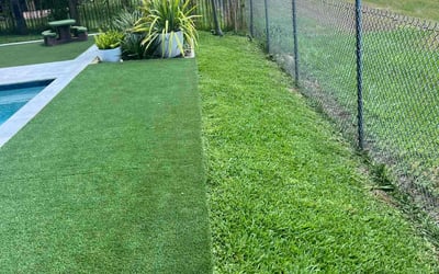 Photo of Jacie T.'s yard after getting lawn care in Princeton, TX