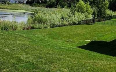 Photo of Rita K.'s yard after getting lawn care in East Bethel, MN