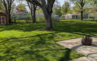Photo of Kyle F.'s yard after getting lawn care in Fairfield, OH