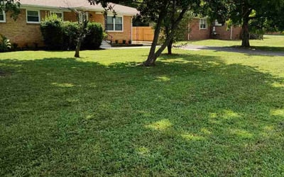 Photo of Gracie G.'s yard after getting lawn care in Murfreesboro, TN