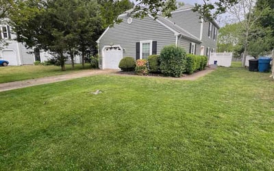 Photo of Colette D.'s yard after getting lawn care in Carrollton, VA