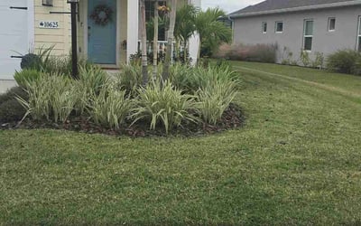 Photo of Larry K.'s yard after getting lawn care in Englewood, FL
