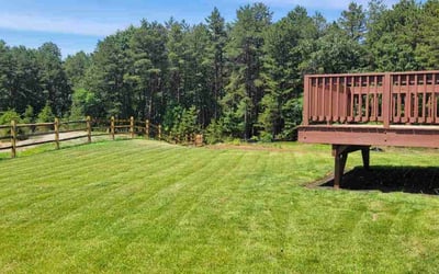 Photo of Kim E.'s yard after getting lawn care in Old Bridge, NJ