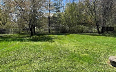 Photo of Kelley B.'s yard after getting lawn care in Fredericksburg, VA