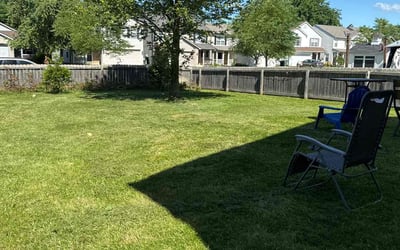 Photo of Michael W.'s yard after getting lawn care in Grove City, OH