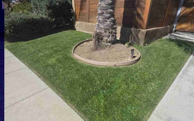 Photo of Brendan F.'s yard after getting lawn care in San Diego, CA