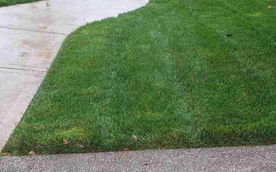 Photo of Christa S.'s yard after getting lawn care in Wilsonville, OR