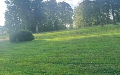 Photo of Fernandez L.'s yard after getting lawn care in Henderson, NC