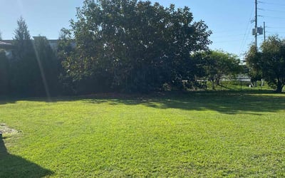 Photo of Rodolfo U.'s yard after getting lawn care in Frostproof, FL