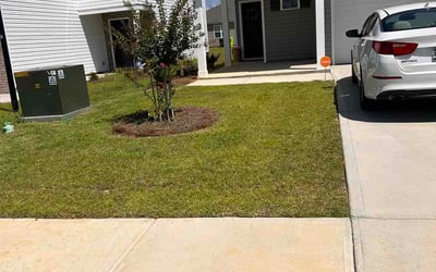 Photo of Kenneth P.'s yard after getting lawn care in Texarkana, TX