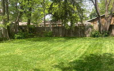 Photo of Rex S.'s yard after getting lawn care in Brandon, FL