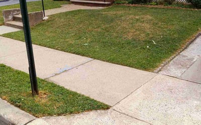 Photo of Melissa C.'s yard after getting lawn care in Passaic, NJ