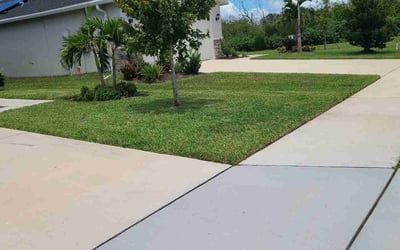 Photo of Will J.'s yard after getting lawn care in Palmetto, FL