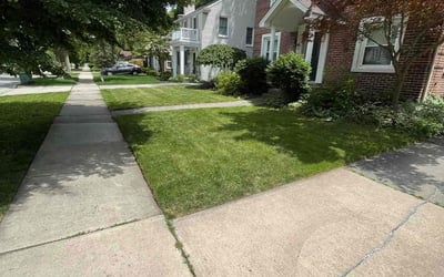 Photo of Jacquelyn P.'s yard after getting lawn care in White Lake, MI