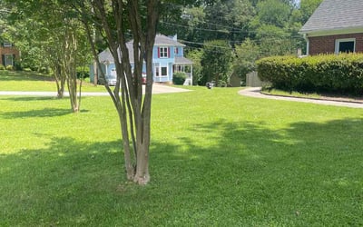 Photo of James B.'s yard after getting lawn care in Cedar Hill, TX