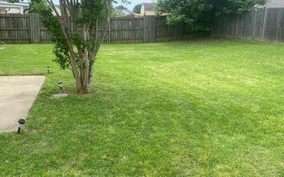Photo of Elizabeth B.'s yard after getting lawn care in Horn Lake, MS