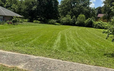 Photo of Dr H.'s yard after getting lawn care in Largo, FL