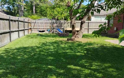 Photo of Michael R.'s yard after getting lawn care in Liberty, TX