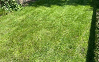Photo of Ericka C.'s yard after getting lawn care in Montgomery, IL
