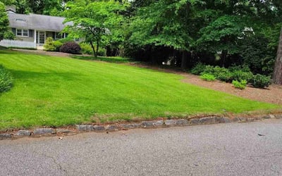 Photo of Debra J.'s yard after getting lawn care in Argyle, TX