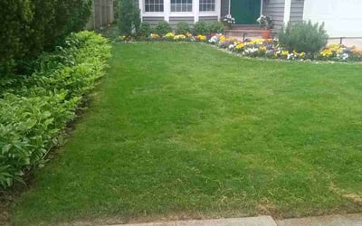 Photo of Dora M.'s yard after getting lawn care in Wilmette, IL