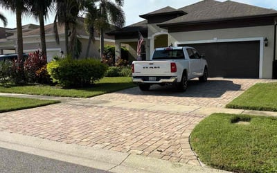 Photo of Mariaah F.'s yard after getting tree care in Stockton, CA