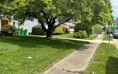 Photo of Chris A.'s yard after getting lawn care in Langhorne, PA