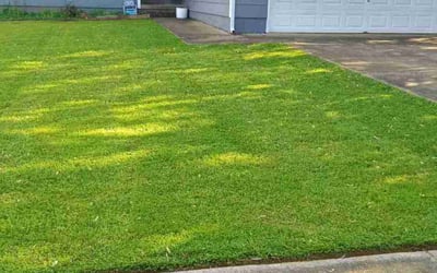 Photo of Fredrick U.'s yard after getting lawn care in Huntsville, AL