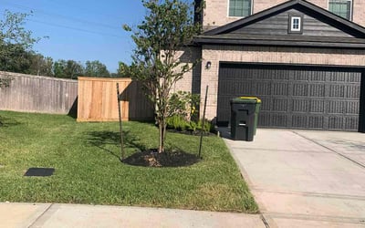 Photo of Nicole B.'s yard after getting lawn care in Pearland, TX