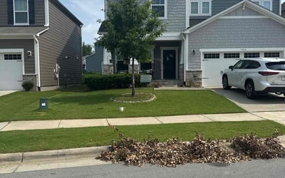 Photo of Anel F.'s yard after getting lawn care in Sacramento, CA