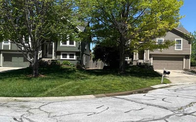Photo of Steven R.'s yard after getting lawn care in Olathe, KS