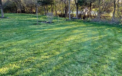 Photo of Michelle N.'s yard after getting lawn care in Troy, OH